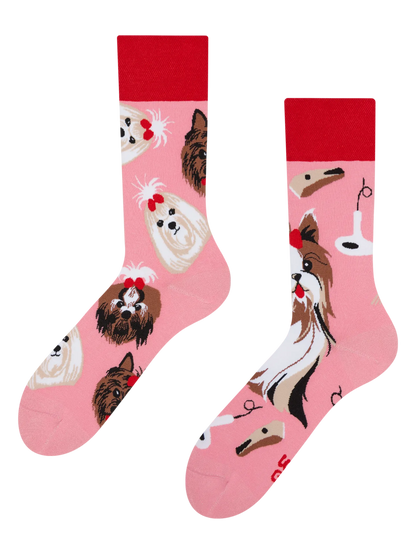 regular-socks-yorkshire-terrier-01/01395ff0de814a377dc387124d5793c08adf8d4b
