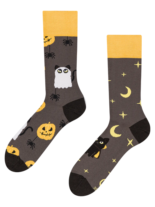 regular-socks-halloween-cat-okt-01/01e3d55faa6cfa5768cf1a3c49739342eb7c820d