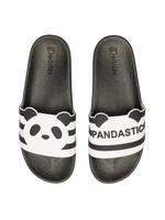 slides-pandastic-03/033b4a56b463e7ce8d63205b657276850382b10f
