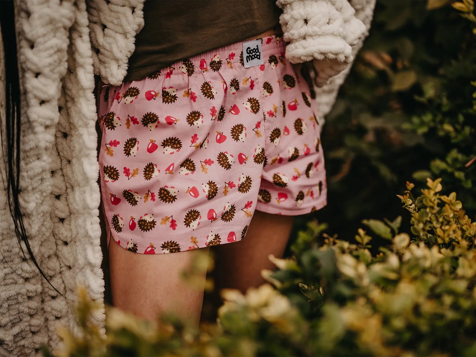 womens-boxer-shorts-hedgehog-08/080abae7af2d16a95202dba331f49a6cddf986e5