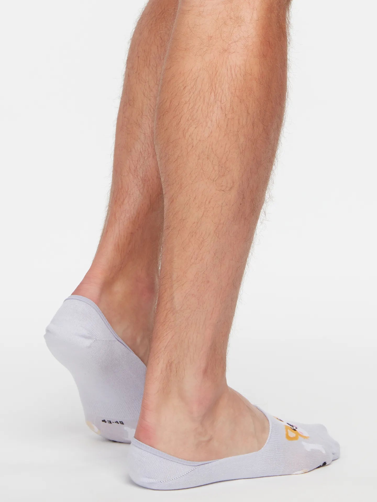 no-show-socks-corgi-dog-10/1082cc3ee5f8a036376e8a21cc83d5a2e49322ad