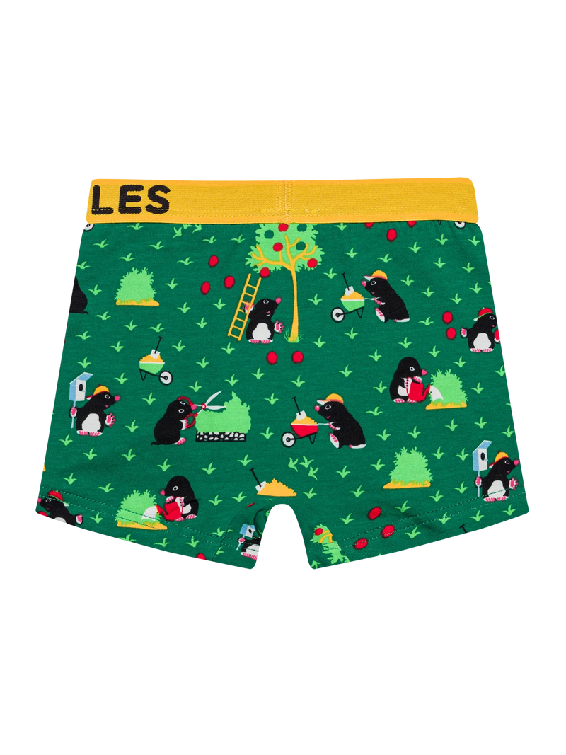 boys-boxers-mole-21/21d55389904c1fe08cba71666711bccc782aaa95