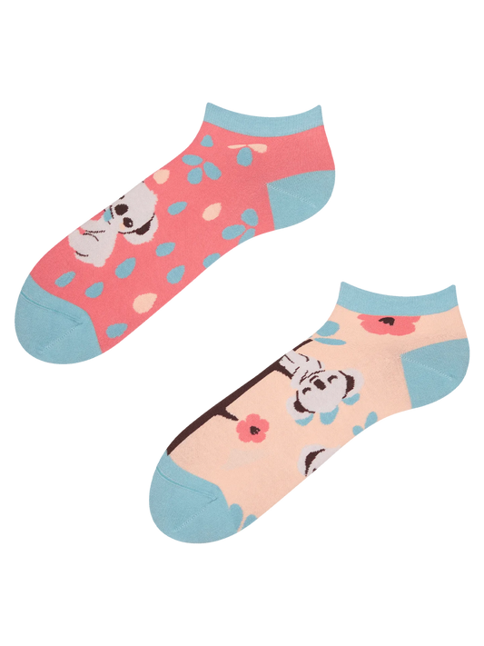 ankle-socks-sleepy-koala-02-2a/2ad348342197cf6a4b139a4bc6a6861de93ddcbf