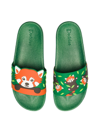 slides-red-panda-3b/3b54f9d2269c6f8640992256f80e5a90b0f835b9