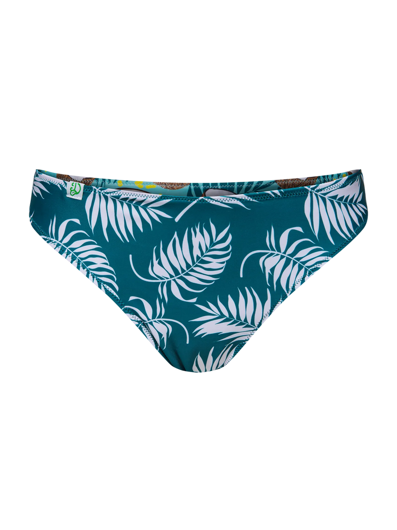 bikini-briefs-coconut-4d/4d521f37aa0c5a4311fb4ecedabb8c47b14a1b87