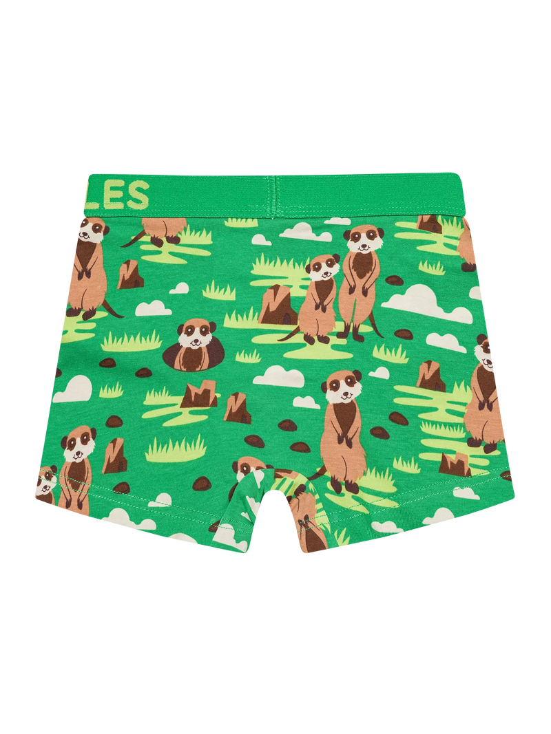 boys-boxers-meerkats-okt-59/59019fb9791155604cf6593d856e1ea5e1b47297
