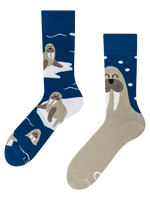 warm-socks-walrus-66/662cfb8ed4732d18dbab570247d690a7c35c2add