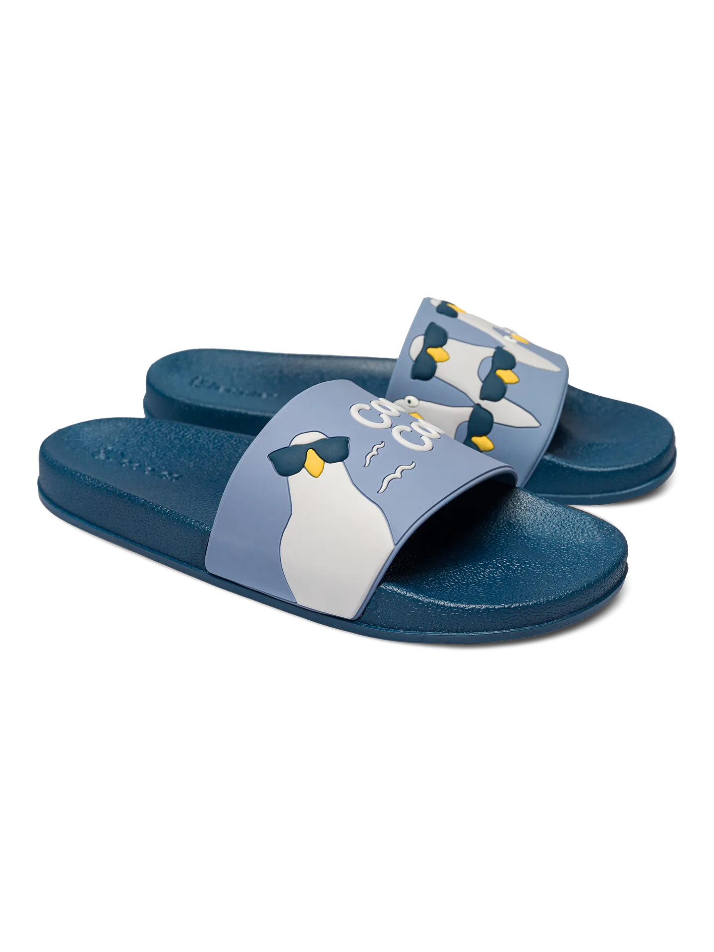 slides-cool-pigeons-6e/6eb362f2efd32390141edcaa6905ac6c280a057b