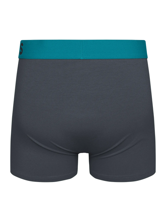 anthracite-grey-mens-trunks-1-78/78bd35e5e0e8c742068ce801efe668554a852d8b