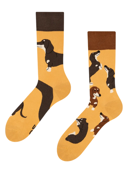 regular-socks-dachshunds-7a/7a9d9ee6d92d14ded441c93b34a97d16327984ef
