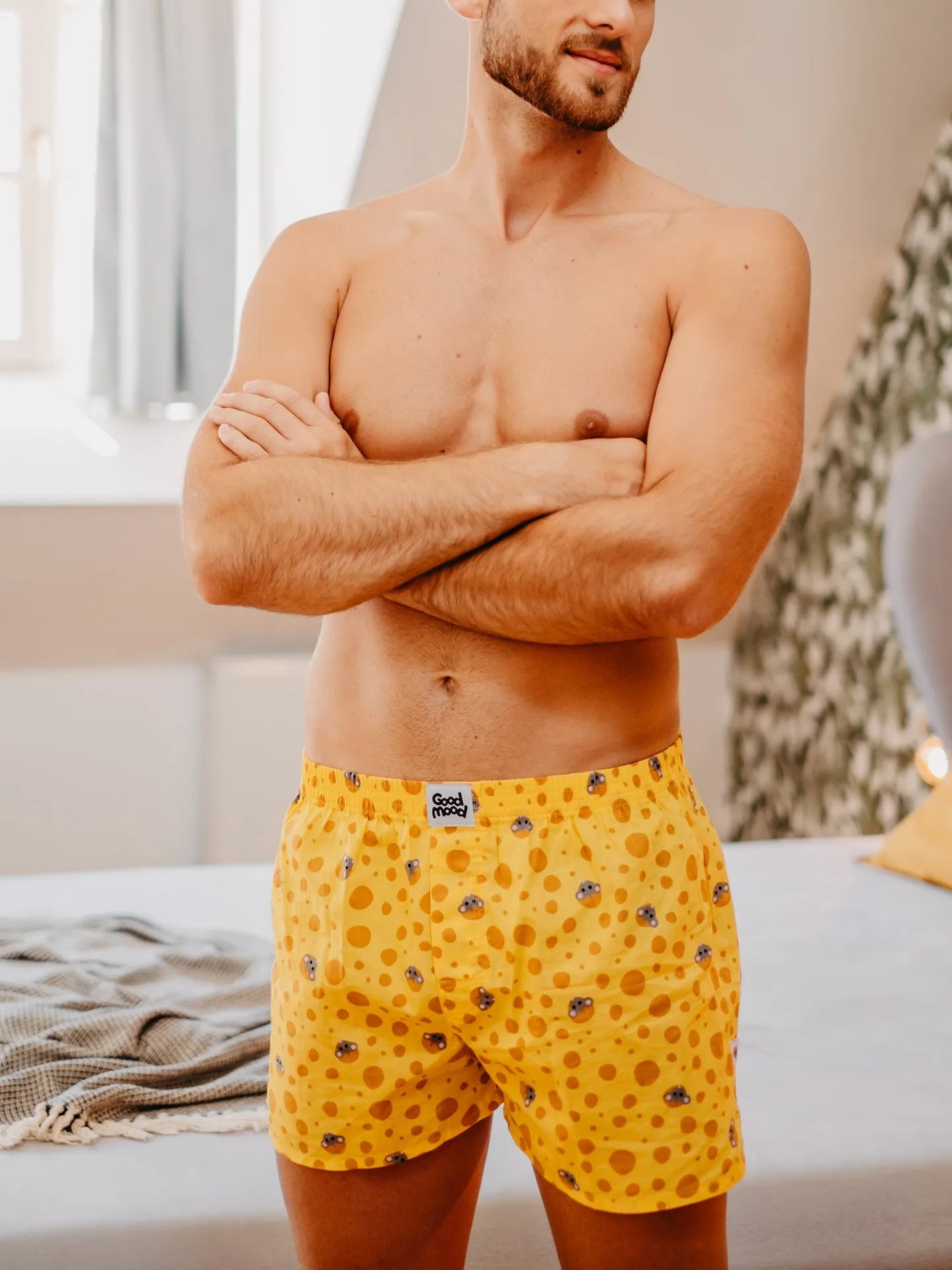mens-boxer-shorts-cheese-7f/7f9cf11b4a2e09aec11c67435f4f873c59a90fd1