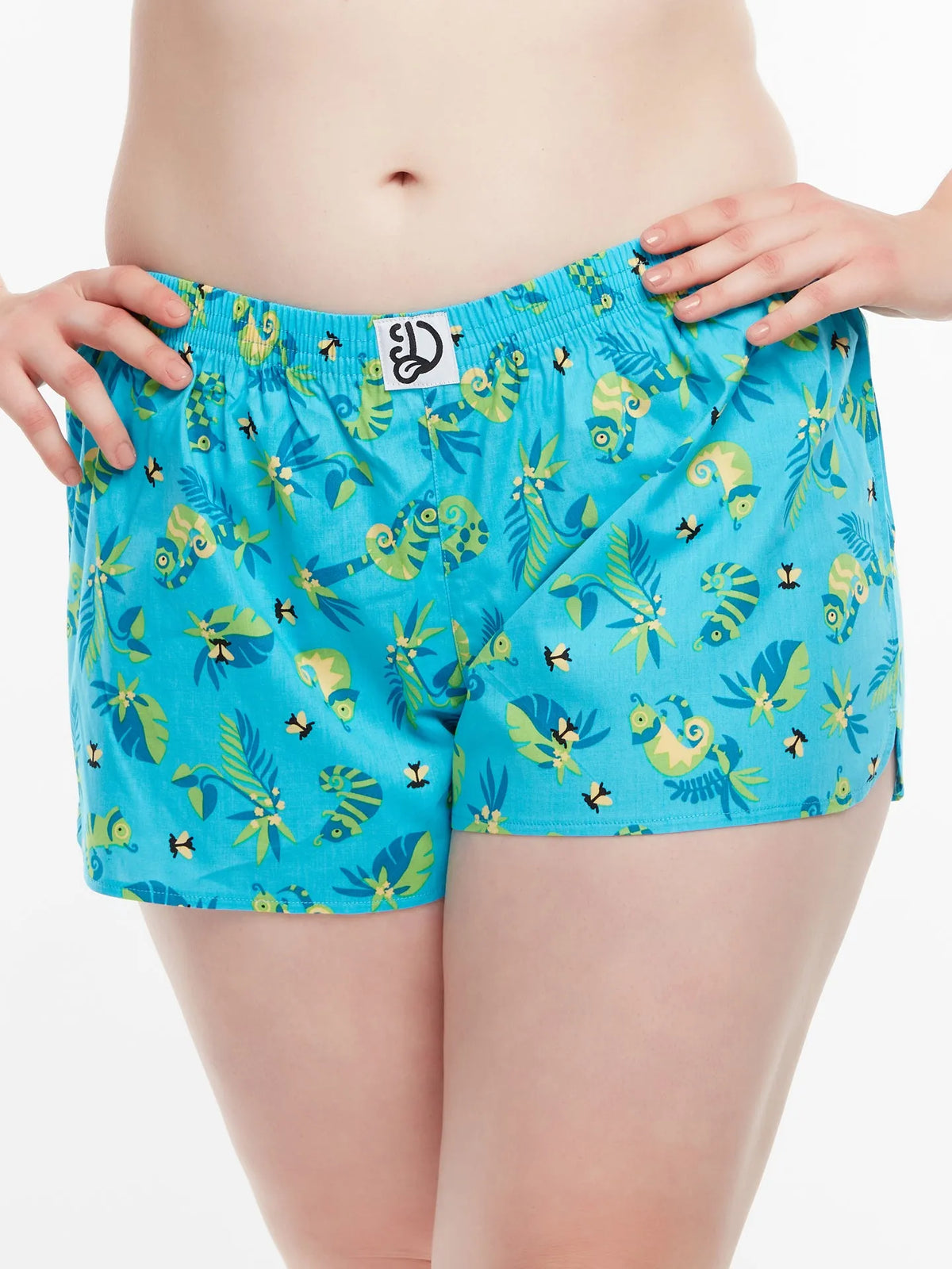 womens-boxer-shorts-chameleon-and-flies-82/82817ad0b5fefe98764d2e157d591a1e9461b3ae