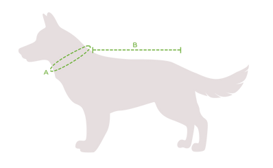 Дъждобран за куче
