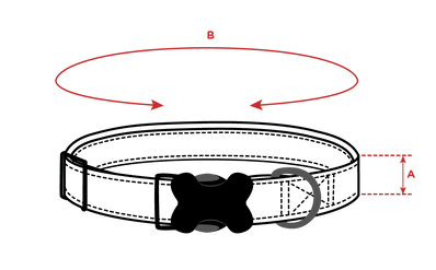 Нашийник за куче