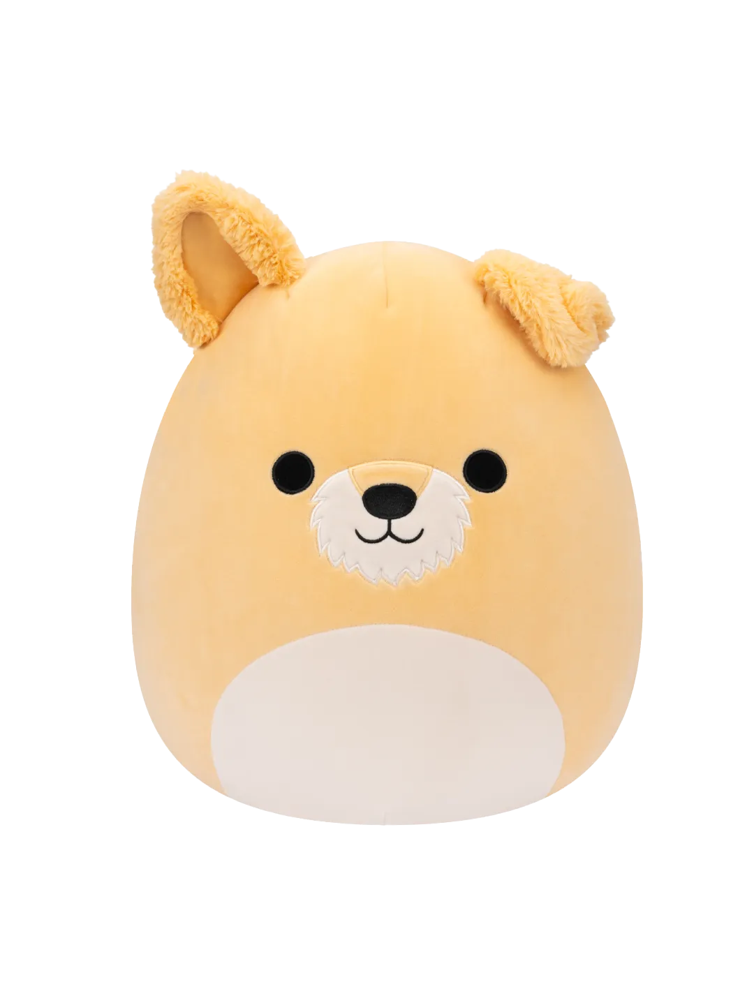 squishmallows-cooper-the-white-dog-35-cm-a1/a13b4a4527212ce436e91ab57c887fde339f9489