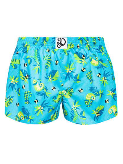 womens-boxer-shorts-chameleon-and-flies-af/af07ada7efc47ba6007f3aed477d133a01259e50