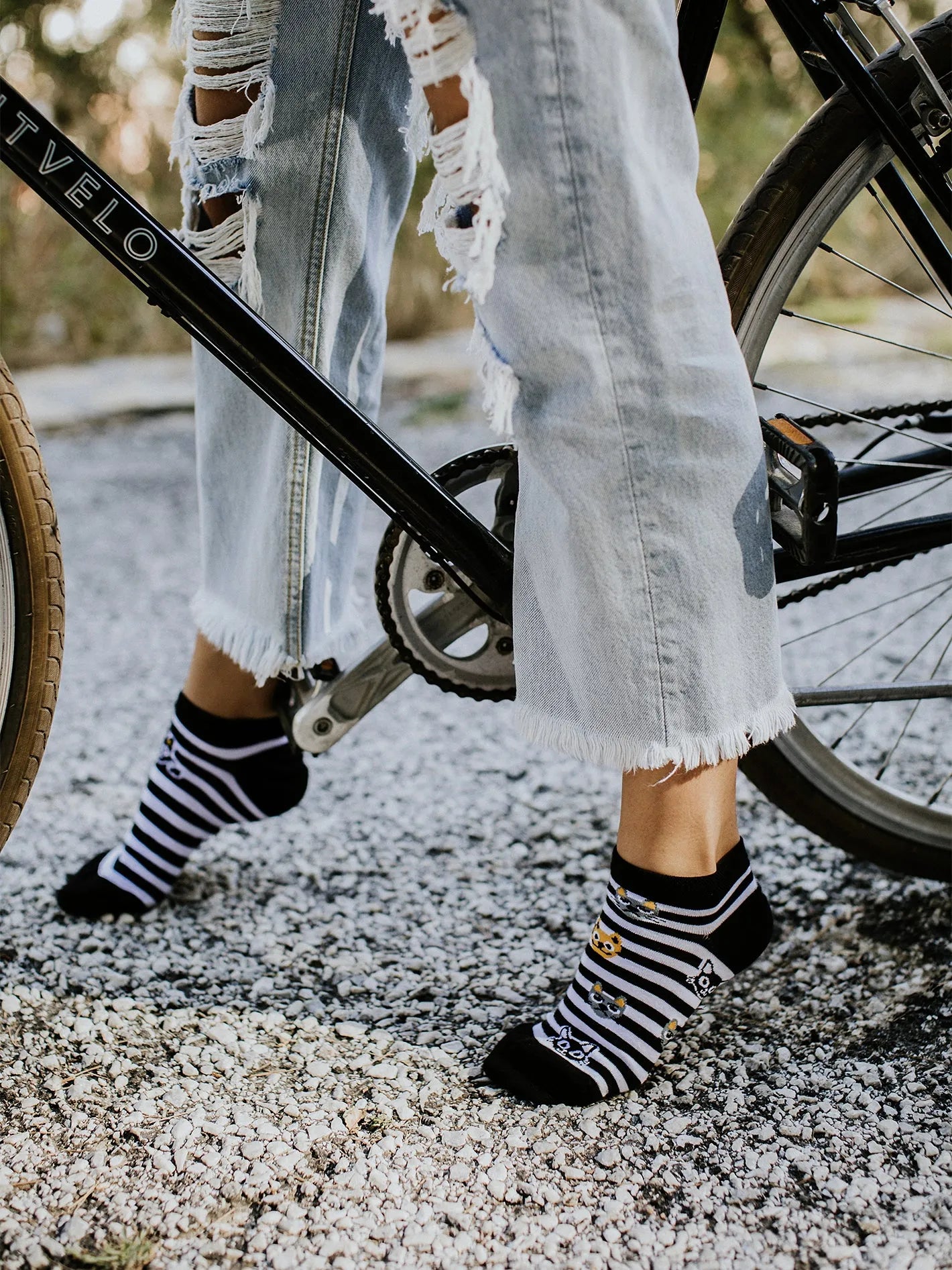 ankle-socks-cats-stripes-02-b2/b236297e25c6fa5f33f8393e541ad892857592ce