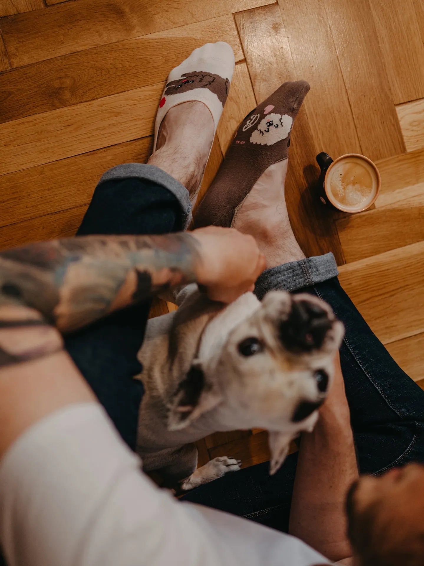 no-show-socks-puppuccino-b6/b6fb38def9b99749688216b4dde1a788fac72b10