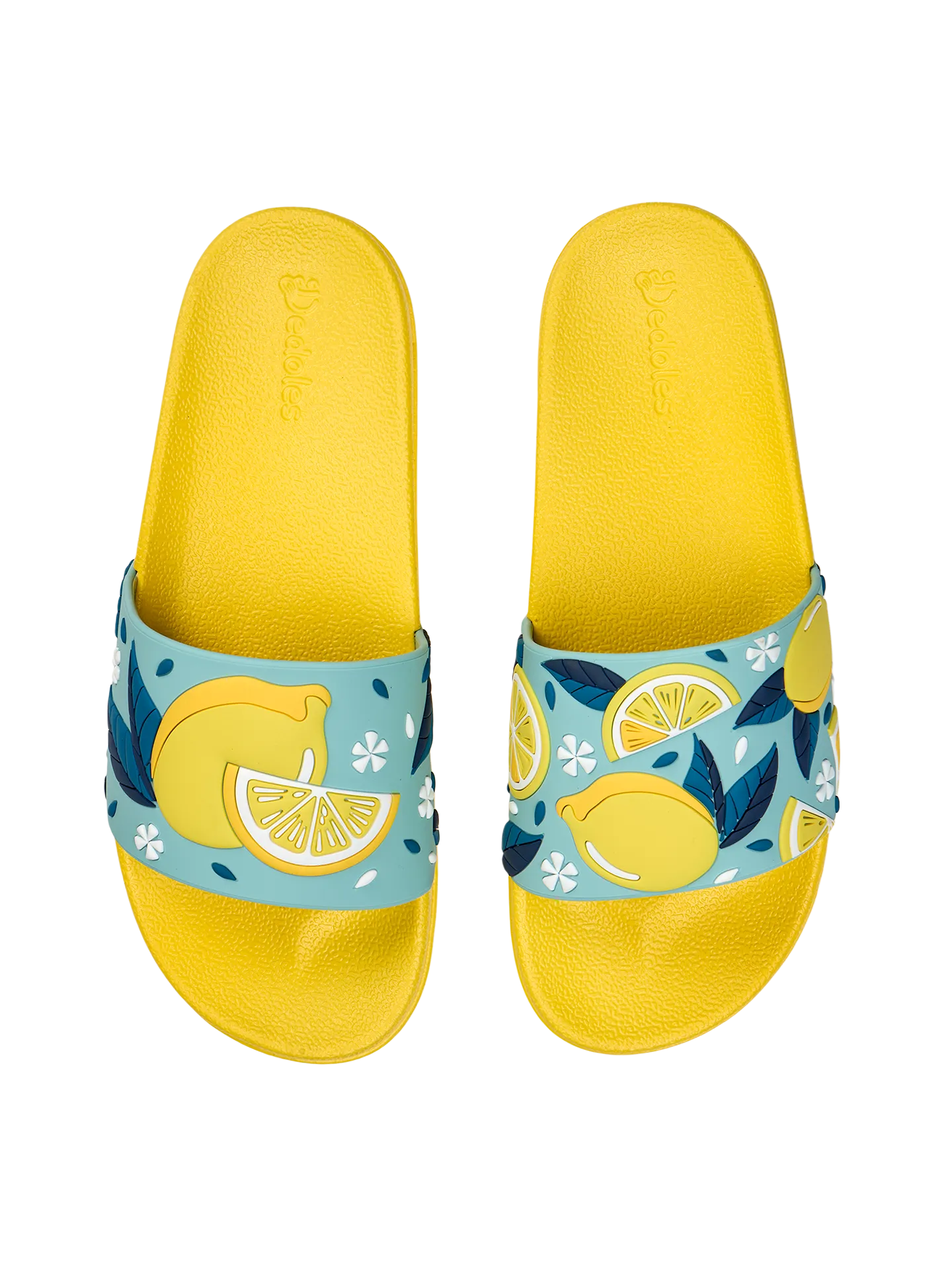 slides-summer-lemons-b7/b7add31a87c17b17505557fefee470d6e68676af