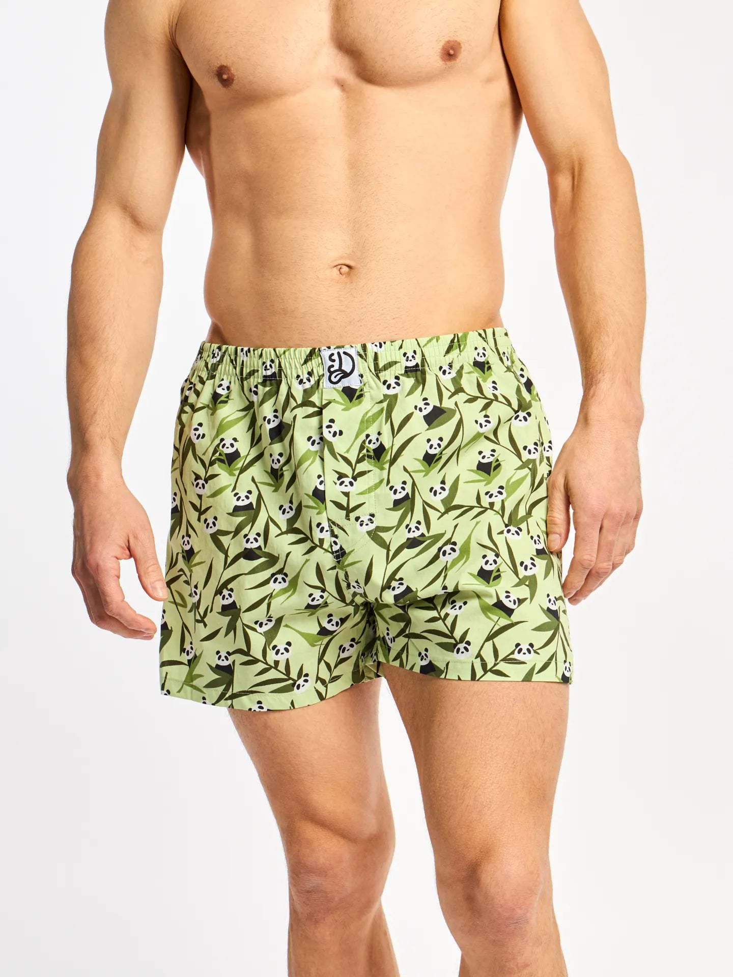 mens-boxer-shorts-pandas-bamboo-b8/b8b1a171075e10654557979858c25c7e500dfdd2