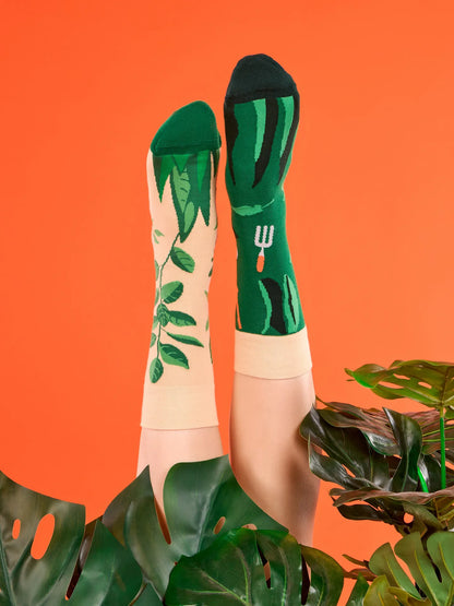 regular-socks-in-the-garden-ba/ba05510392ac78cd1cd6bf33c46e72b97ad7e225