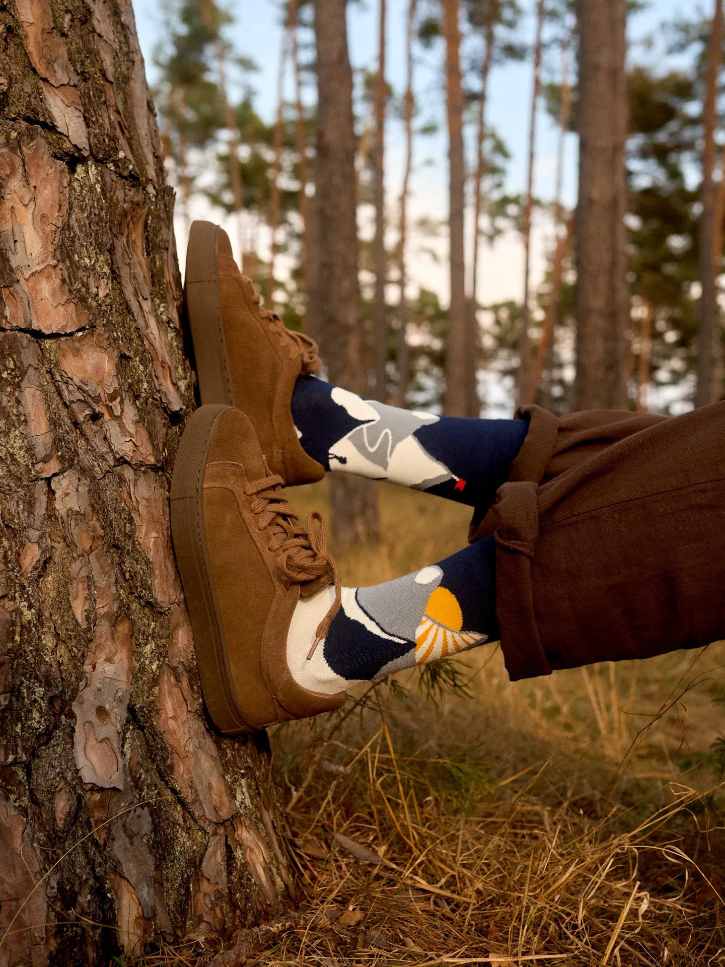 bamboo-regular-socks-mountain-sunset-c9/c9b1deb542b0b2b069d86966fbd7fbdca7e4e847