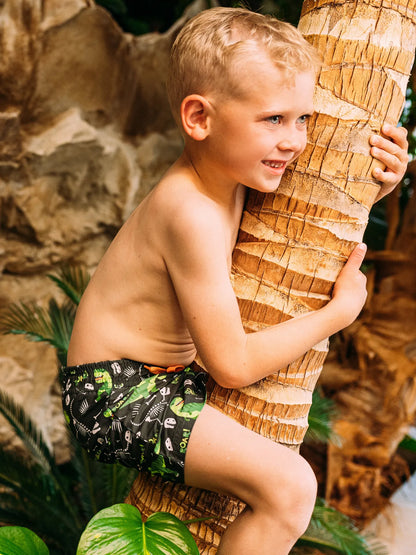 boys-swim-shorts-tyrannosaurus-rex-dd/dd4dbc367d9fddbf2aaa24a47d0d13f9e4c1a4ef