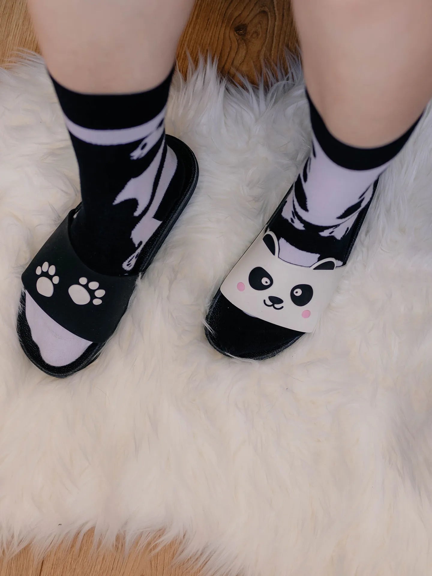 slides-panda-paws-02-e1/e1918b8121a57ee721042e42fab3c4f3e5a7af27